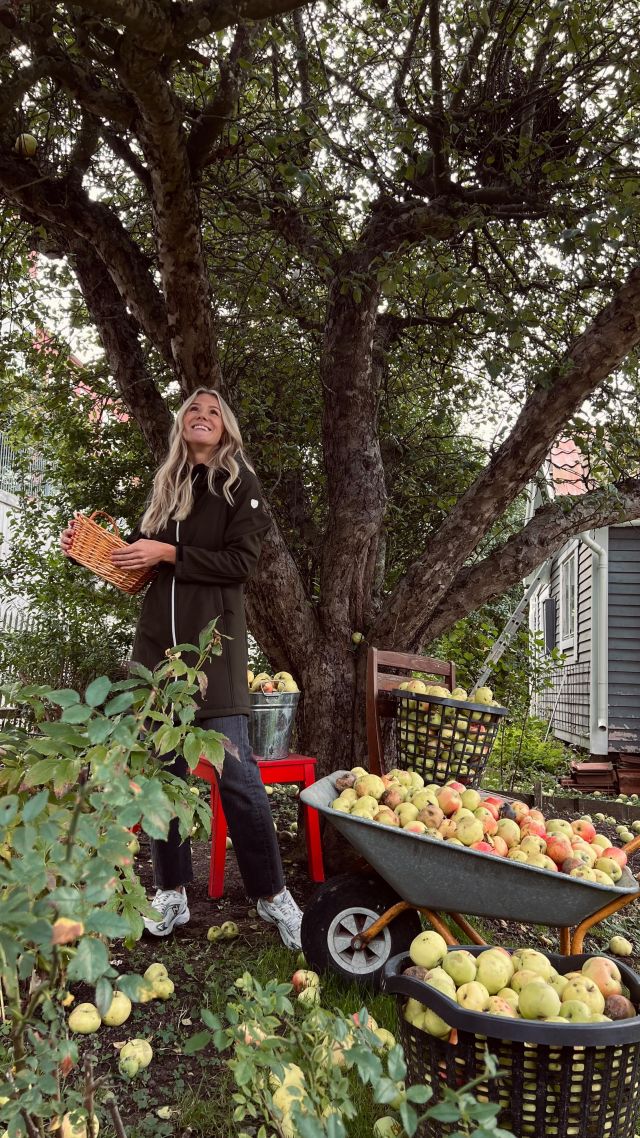 RECEPT ÄPPELPAJ 🍎 

Ta hand om din äppelskörd och gör som Ella, vår ehandelskoordinator, baka @camillahamid goda äppelpaj 🤩 

🔎 Zara coat 

#tuxersweden #tuxer #äppelpaj #äppelskörd #höst #höstfärger #recept