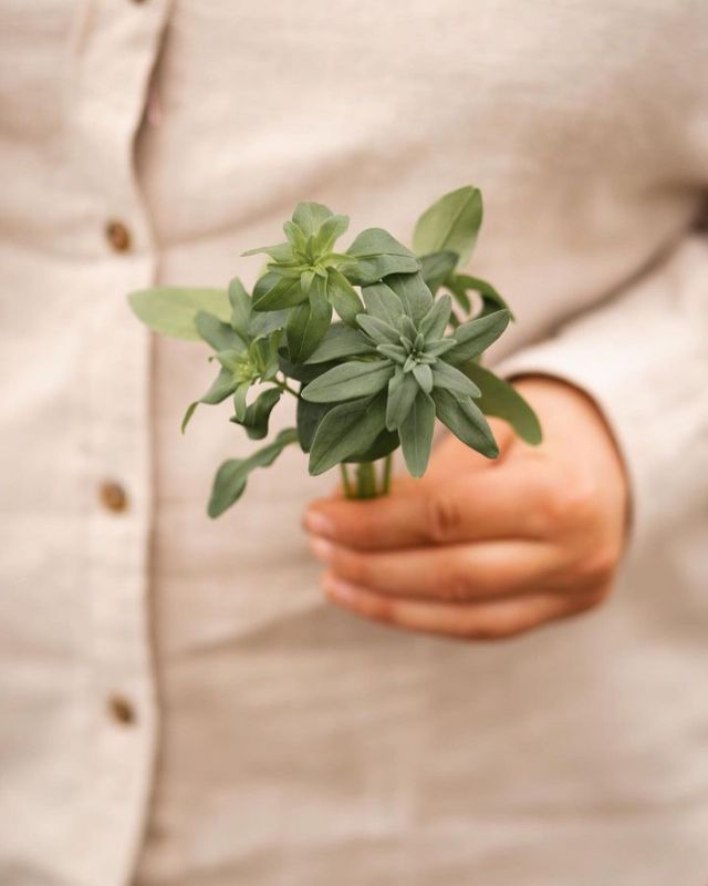 Odlar du hemma? 🌱🌸 

🔎 Lia Reco Shirt & Cindy Reco Shirt
📷 @plantornas