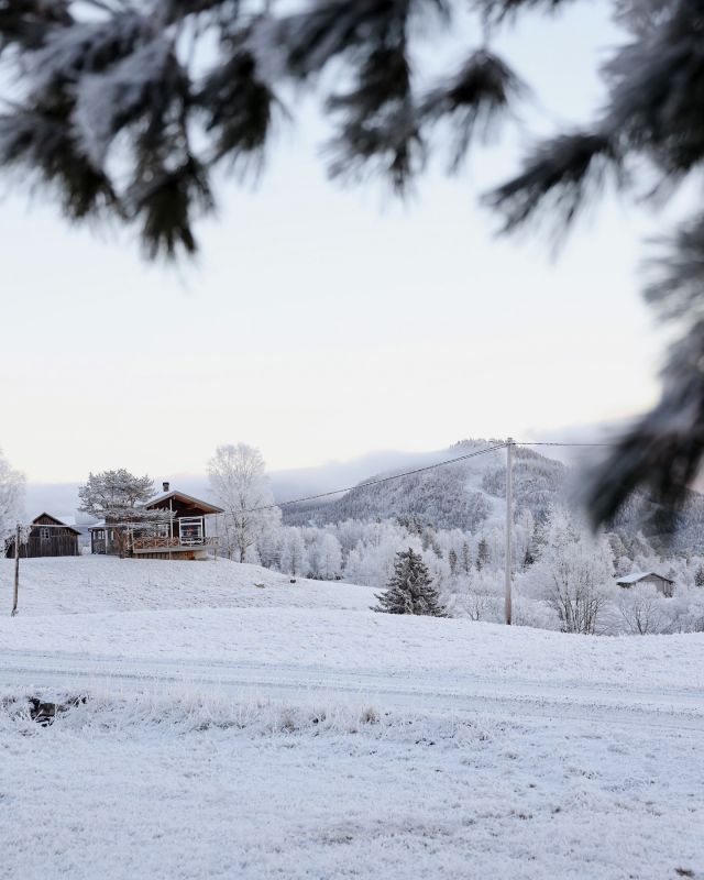 Idag bjuder vi på ett vackert vinterlandskap fångat av @emmawagenius ❄️⛄️